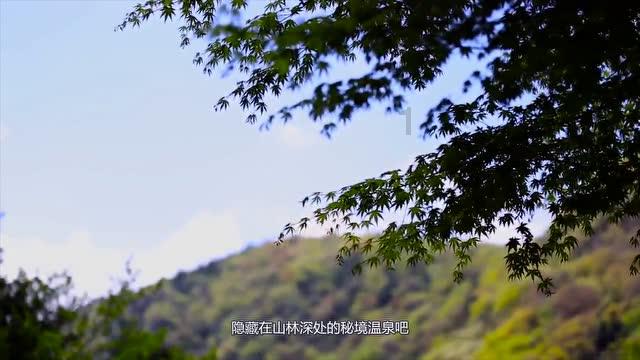 2023年安床黄道吉日游戏画面