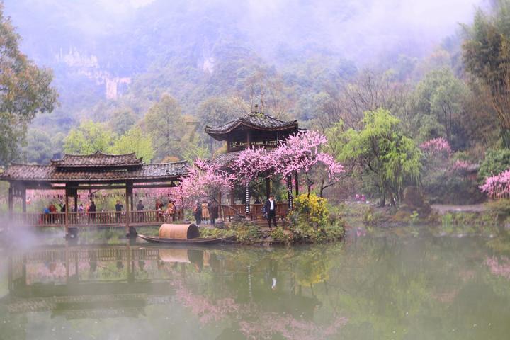 中国代表团收获两金