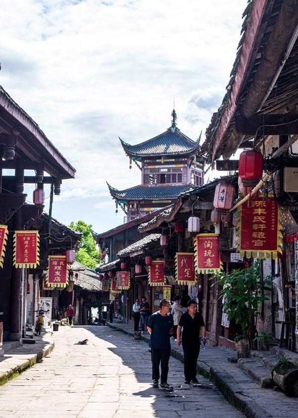 除虫大师